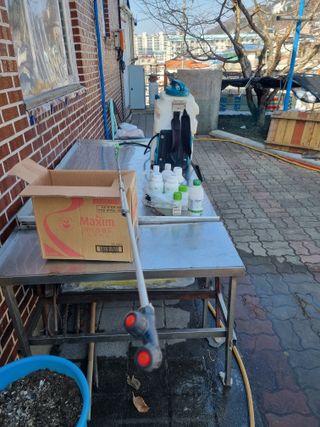 김용대님의 기타작물 · 영농일지 작성글 사진