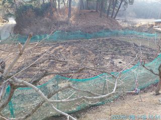 황대헌님의 감자 · 영농일지 작성글 사진