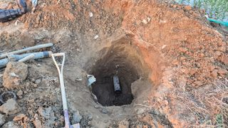 서정욱님의 마늘 · 영농일지 작성글 사진