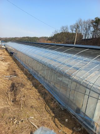 농민님의 기타작물 · 영농일지 작성글 사진