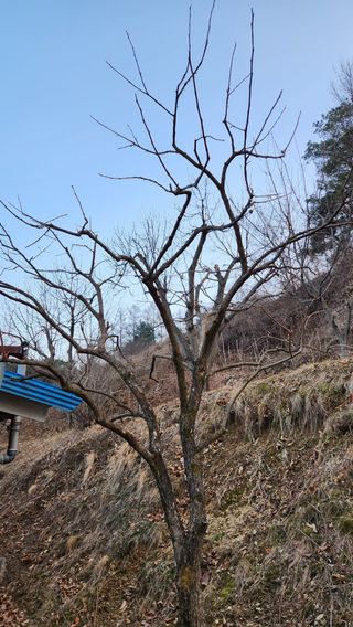 현길01021982님의 기타작물 · 영농일지 작성글 사진