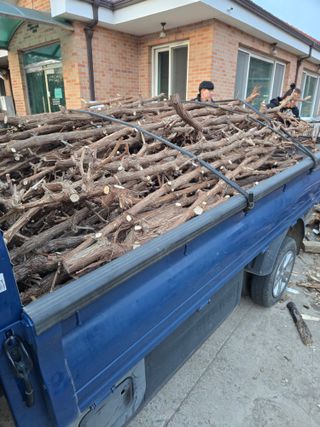 장순호 수노아농원 님의 기타작물 · 영농일지 작성글 사진