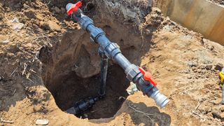 서정욱님의 마늘 · 영농일지 작성글 사진