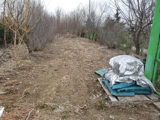 송완춘님의 기타작물 · 영농일지 작성글 사진