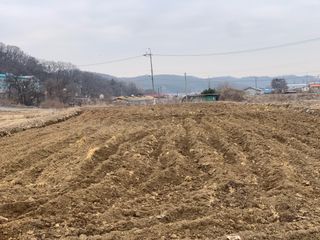 백용구님의 기타작물 · 영농일지 작성글 사진