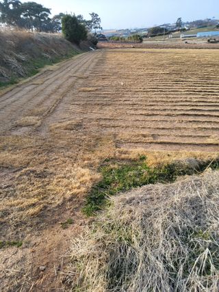 최유순님의 기타작물 · 영농일지 작성글 사진