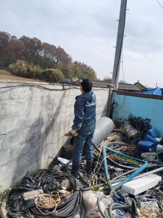 최유순님의 기타작물 · 영농일지 작성글 사진