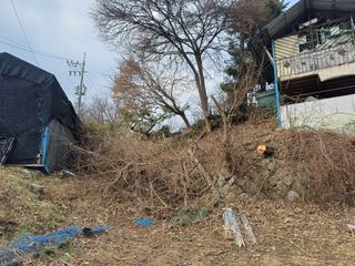 인산님의 기타작물 · 영농일지 작성글 사진