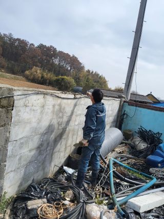 최유순님의 기타작물 · 영농일지 작성글 사진