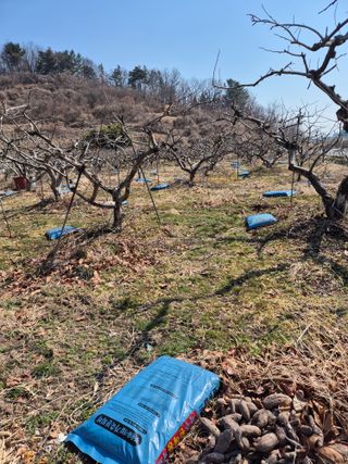문성농장15146님의 기타작물 · 영농일지 작성글 사진