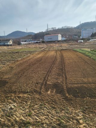 강상정님의 기타작물 · 영농일지 작성글 사진