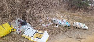 김정은님의 기타작물 · 영농일지 작성글 사진