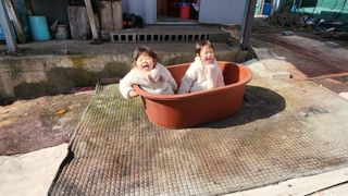 조상균님의 기타작물 · 영농일지 작성글 사진