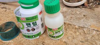 김동제님의 마늘 · 영농일지 작성글 사진