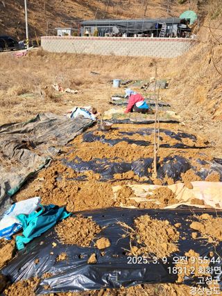 혜공 도봉현님의 기타작물 · 영농일지 작성글 사진