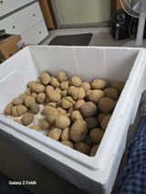 팜모닝 감자·영농일지 게시글 이미지