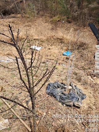 혜공 도봉현님의 기타작물 · 영농일지 작성글 사진