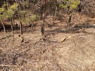 김정기 님의 기타작물 · 영농일지 작성글 사진