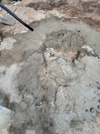 최유순님의 기타작물 · 영농일지 작성글 사진