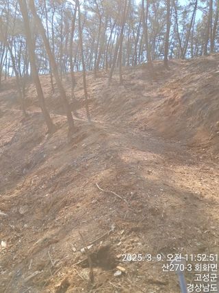 혜공 도봉현님의 기타작물 · 영농일지 작성글 사진