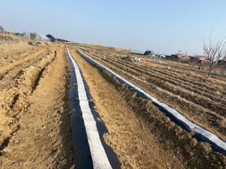 토끼풀님의 기타작물 · 영농일지 작성글 사진