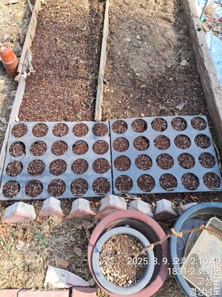 혜공 도봉현님의 기타작물 · 영농일지 작성글 사진