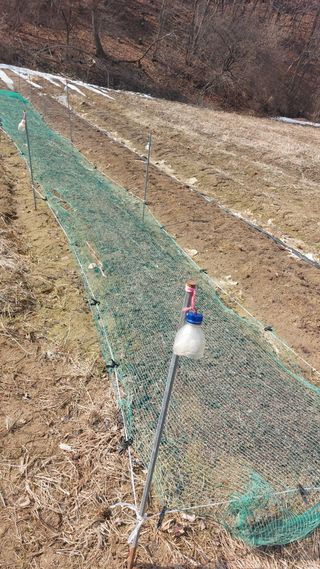 Blackbear님의 기타작물 · 영농일지 작성글 사진