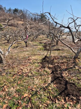 문성농장15146님의 기타작물 · 영농일지 작성글 사진