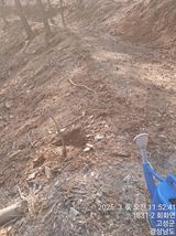 팜모닝 기타작물·영농일지 게시글 이미지