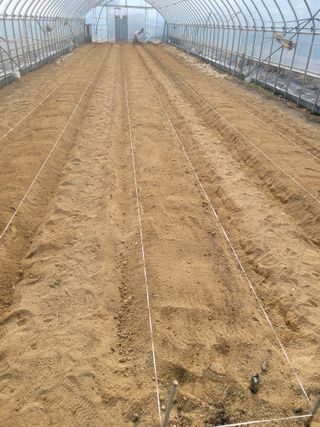 민원배님의 고추 · 영농일지 작성글 사진