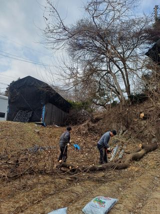 인산님의 기타작물 · 영농일지 작성글 사진