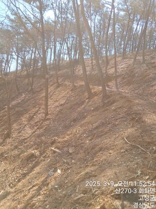 혜공 도봉현님의 기타작물 · 영농일지 작성글 사진