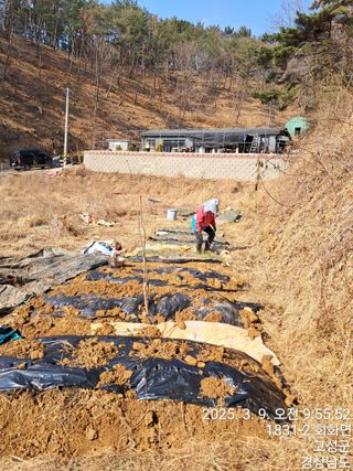 혜공 도봉현님의 기타작물 · 영농일지 작성글 사진