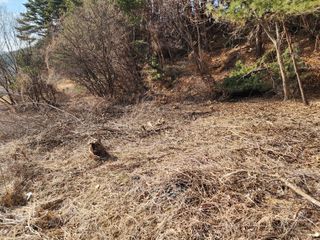 김정기 님의 기타작물 · 영농일지 작성글 사진