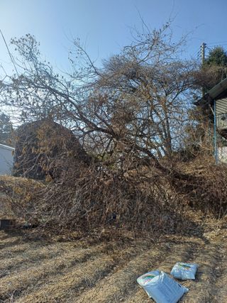 인산님의 기타작물 · 영농일지 작성글 사진