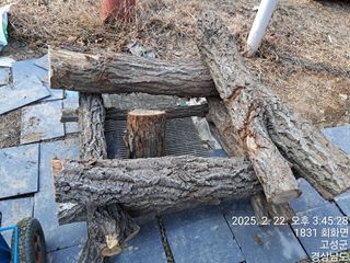 혜공 도봉현님의 기타작물 · 영농일지 작성글 사진