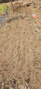 팜모닝 기타작물·영농일지 게시글 이미지