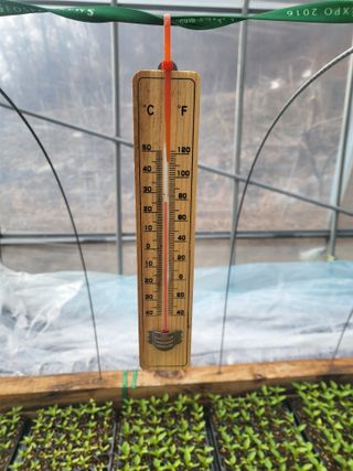 이상욱님의 고추 · 영농일지 작성글 사진