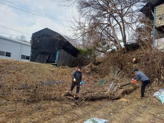 인산님의 기타작물 · 영농일지 작성글 사진