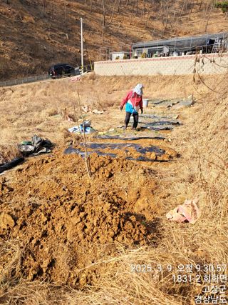 혜공 도봉현님의 기타작물 · 영농일지 작성글 사진
