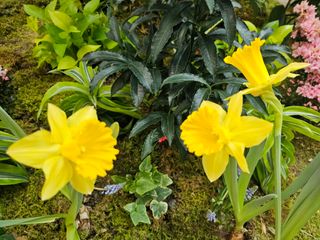 이미옥님의 기타작물 · 영농일지 작성글 사진