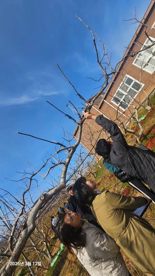 주하네팜(태추,부유님의 감 · 영농일지 작성글 사진