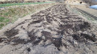 권병국님의 감자 · 영농일지 작성글 사진