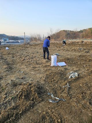 최용태님의 기타작물 · 영농일지 작성글 사진