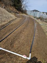 팜모닝 기타작물·영농일지 게시글 이미지