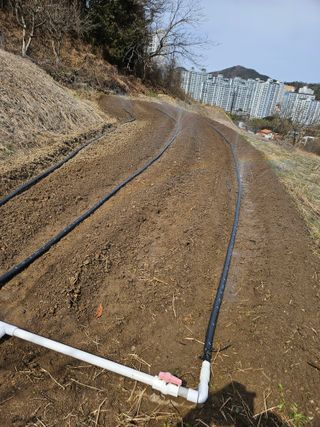 장흥식님의 기타작물 · 영농일지 작성글 사진