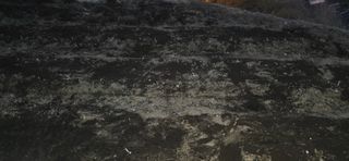 진전님의 기타작물 · 영농일지 작성글 사진