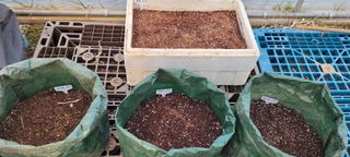 김정은님의 기타작물 · 영농일지 작성글 사진