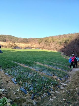 결단이님의 작성글 사진