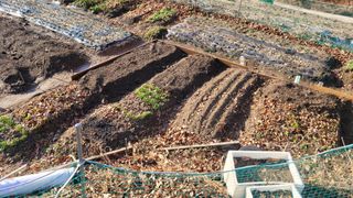 김영규님의 기타작물 · 영농일지 작성글 사진